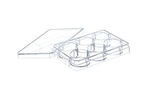 MACROPLATE 6 WELL