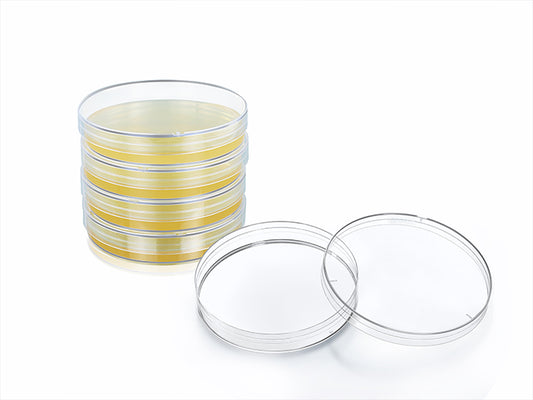 PETRI DISH