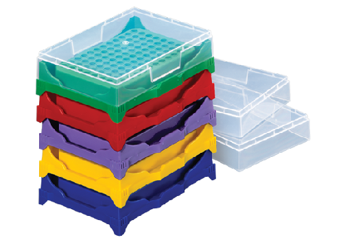 Molecular Biology – tagged