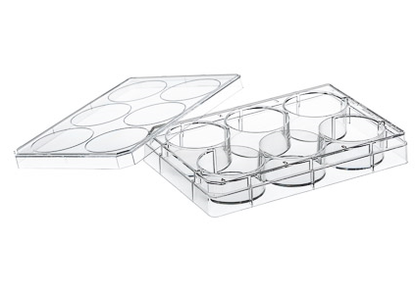 TC PLATE 6W STERILE W/LID 1/PK