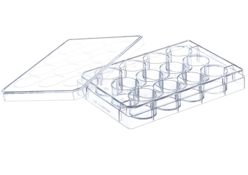 Cell Culture – tagged