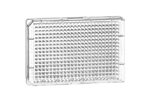 Cell Culture – tagged